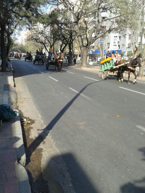 Movilización de carreros por calle Chacabuco, ciudad de Córdoba